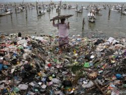 Gede Pasek Soroti SE Gubernur Bali Larang AMDK Kecil: Lemah dan Sulit Diterapkan